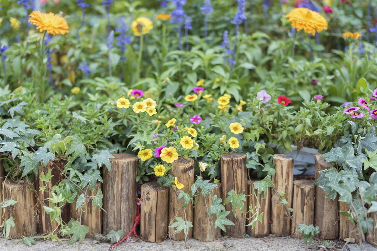Beeteinfassung gestalten: Rasenkante &amp; Beetbegrenzung fürs Gartenbeet
