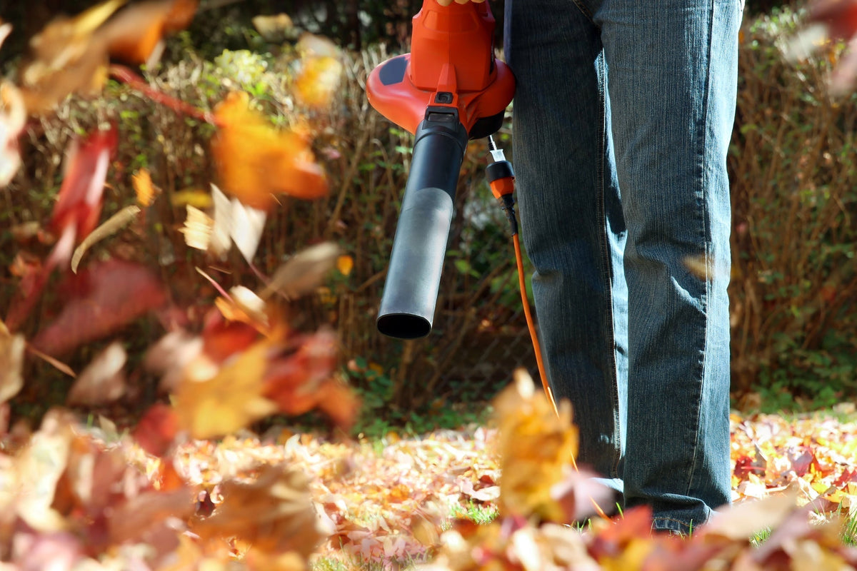 Herbstlaub im Garten sinnvoll verwenden: Tipps für Frostschutz, Mulch und Kompost