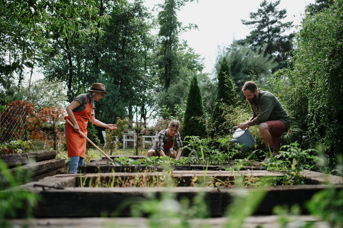 Nachhaltig Gärtnern: Garten nachhaltig gestalten für eine ökologische Gartengestaltung
